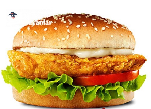 Tavuk Burger